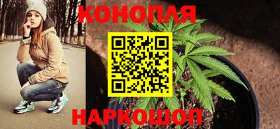 каннабис Сланцы