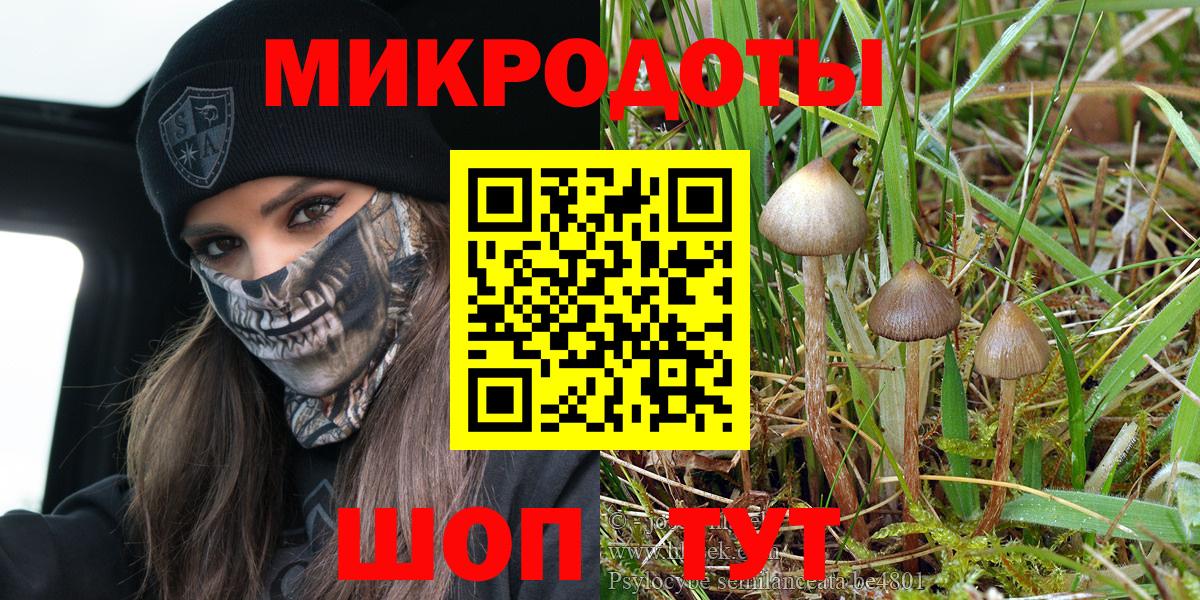 Псилоцибиновые грибы ЛСД  Вход с VPN  Псилоцибиновые грибы прущие грибы  Орск 