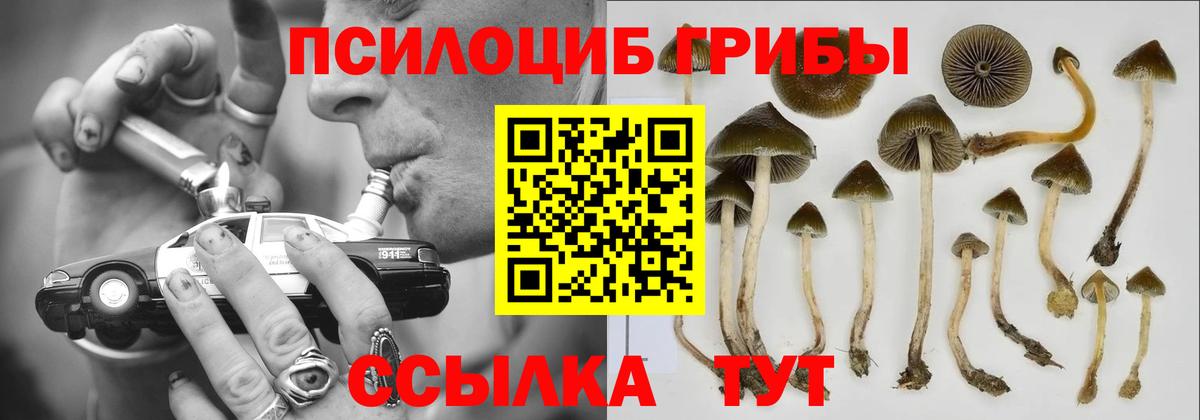Псилоцибиновые грибы прущие грибы Орск